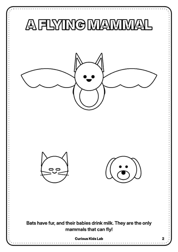 Page 3 of the coloring book “Bats Coloring Book”