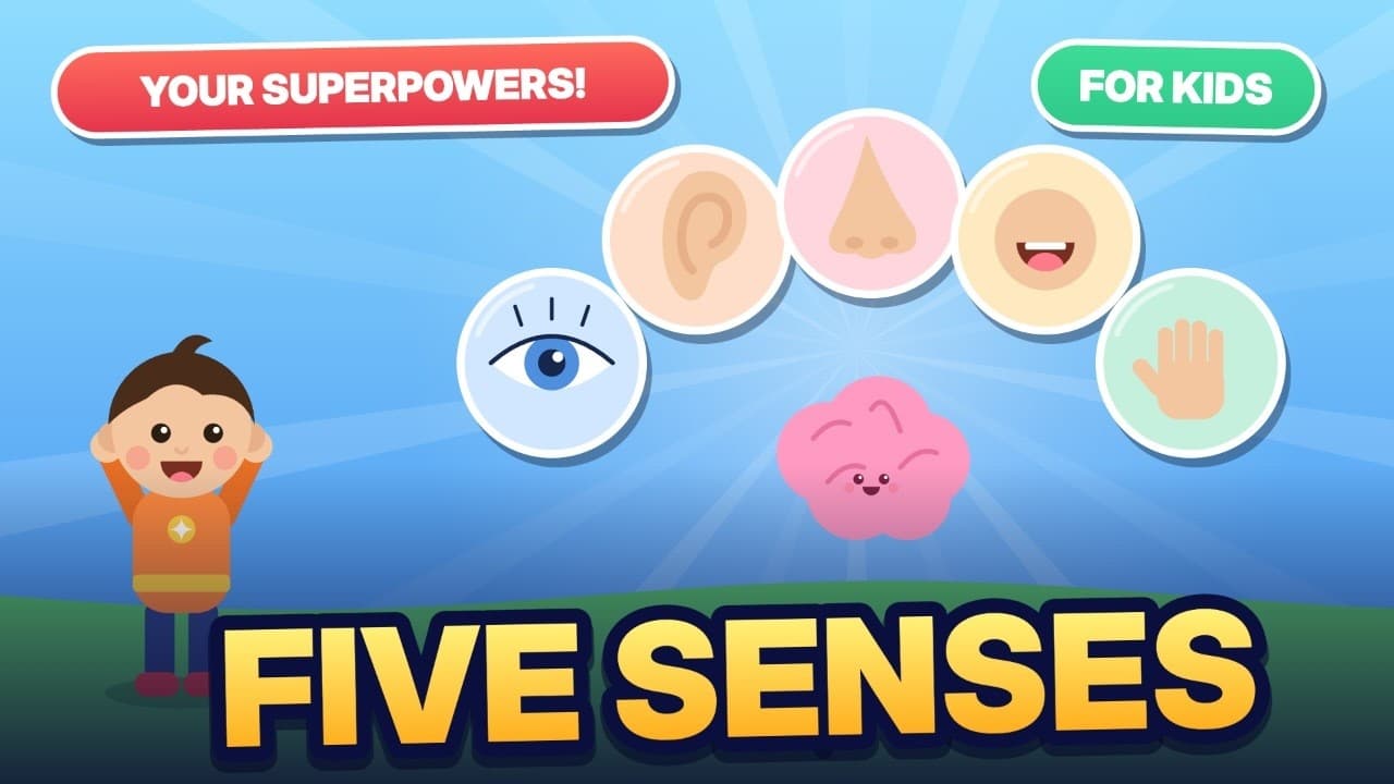 Les cinq sens : vidéo pour enfants